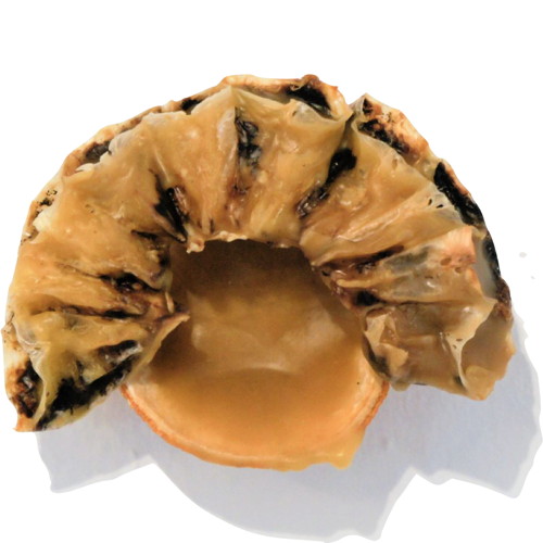 Bildausschnitt