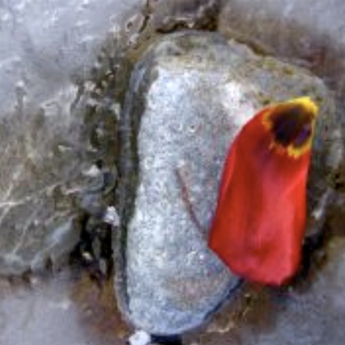 Bildausschnitt