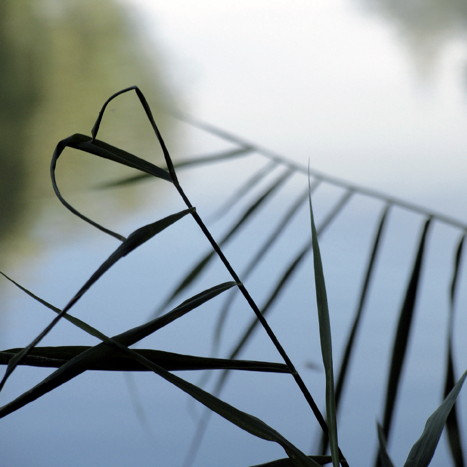 Bildausschnitt