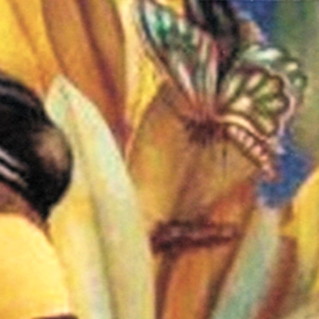 Bildausschnitt