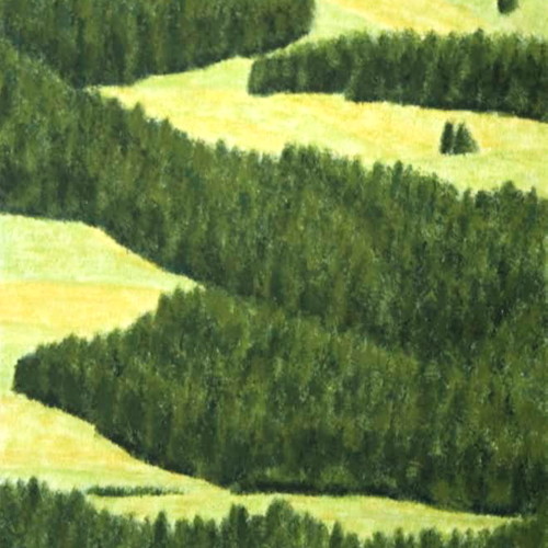 Bildausschnitt
